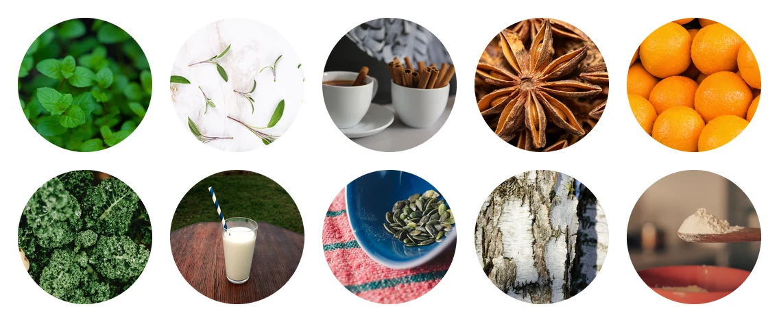 Dentitox Pro ingredients